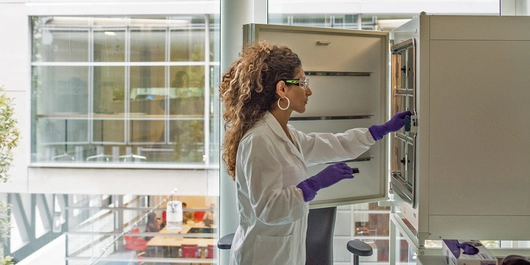 Doctor in the laboratory